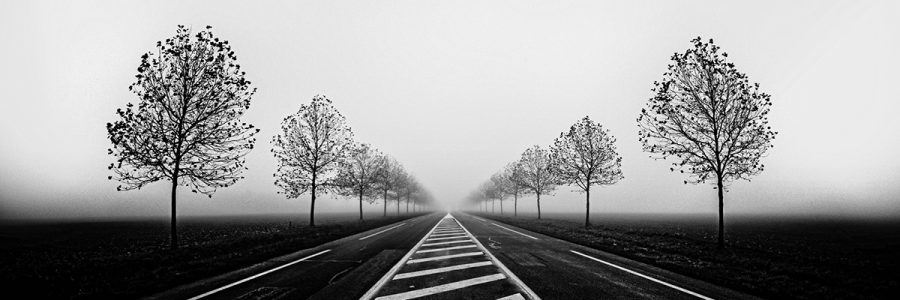 Yannick Cordemy - Chasseur de Brume