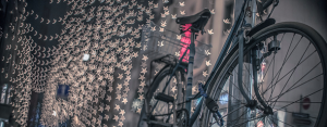 Bokeh