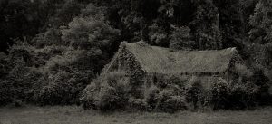 Helene Schmitz - l'invasion du Kudzu