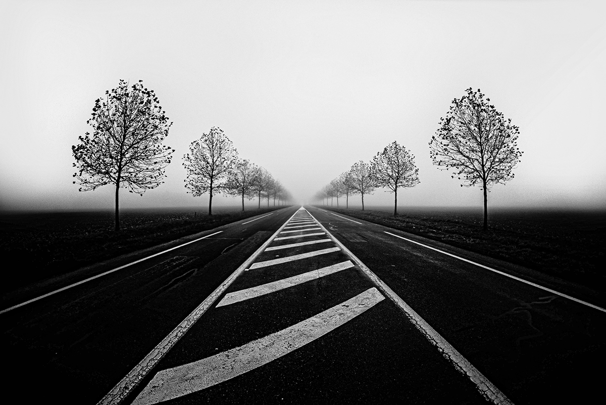 Yannick Cordemy - Chasseur de Brume
